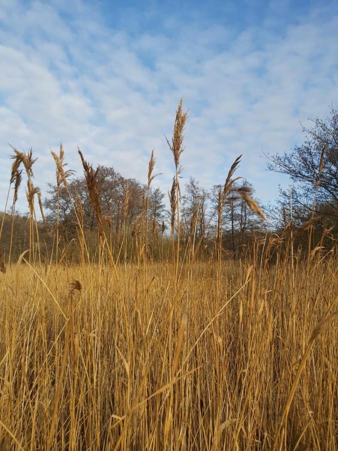 Appartamento Foerde Koje Westerholz Esterno foto